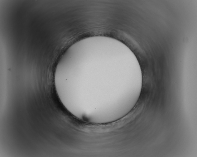 X0000087310025200705112126