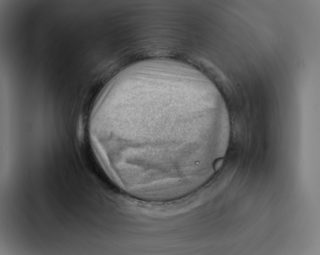 X0000087310026200705112126