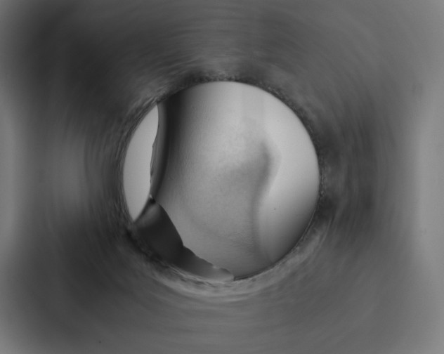 X0000087310027200705112126