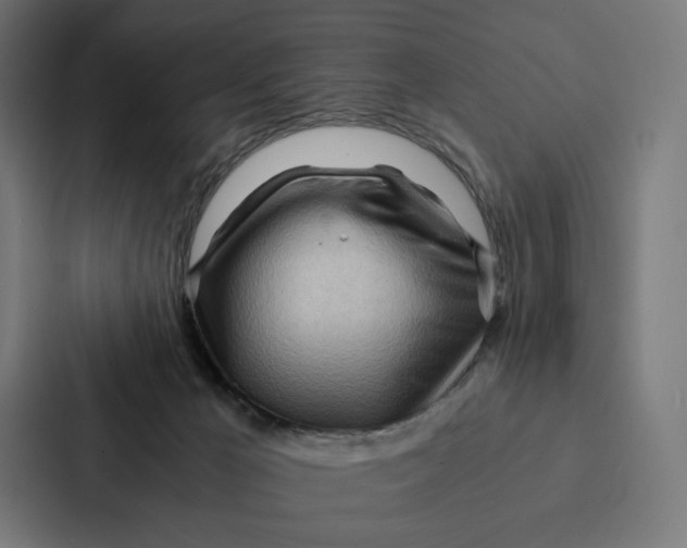 X0000087310029200705112126