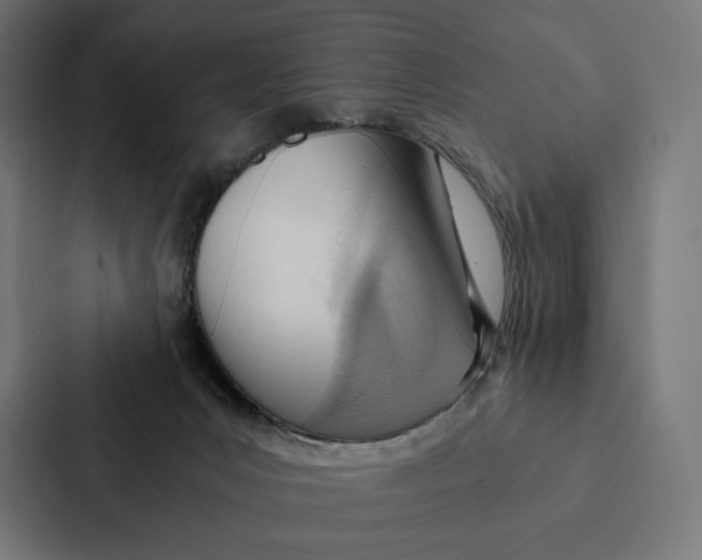 X0000087310031200705112126