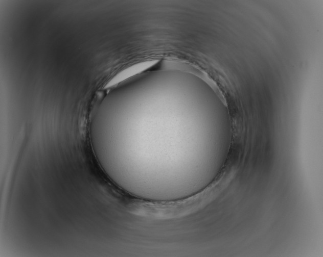 X0000087310033200705112126