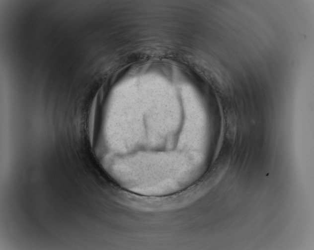 X0000087310034200705112126