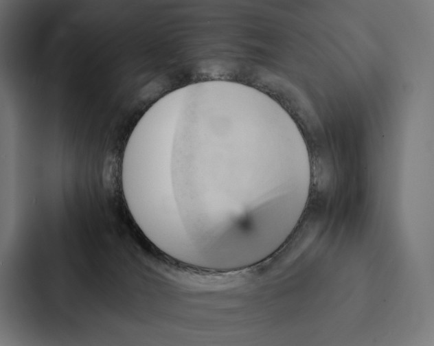 X0000087310036200705112126