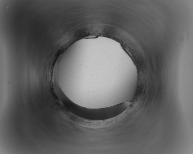 X0000087310037200705112126