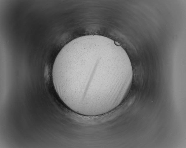 X0000087310038200705112126