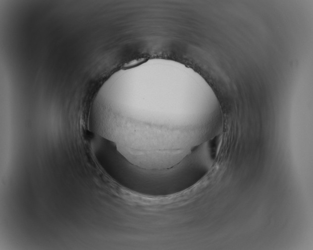 X0000087310039200705112125