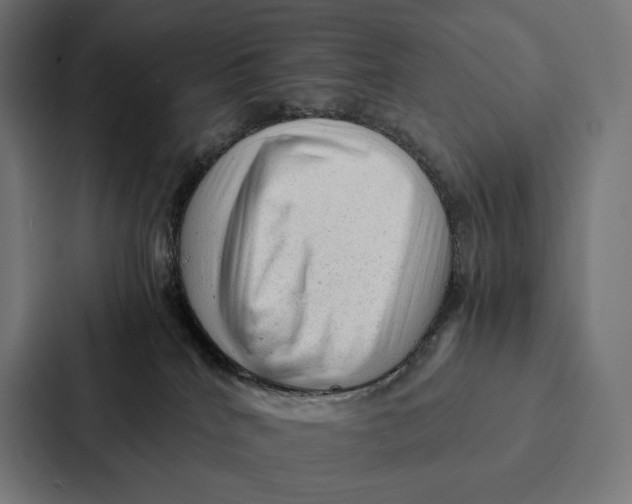 X0000087310040200705112125