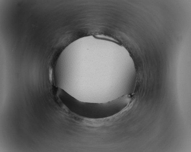 X0000087310041200705112125