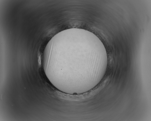 X0000087310042200705112125