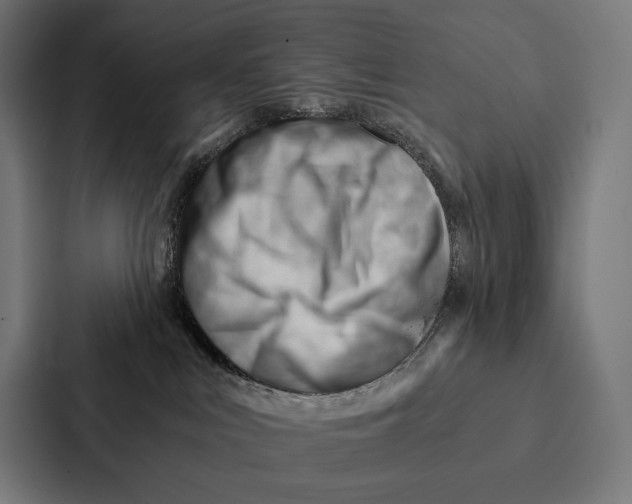 X0000087310043200705112125