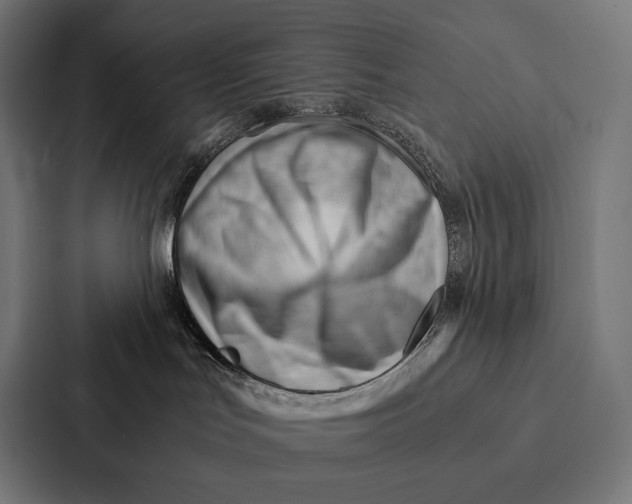 X0000087310047200705112125