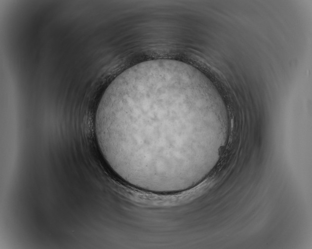 X0000087310048200705112125