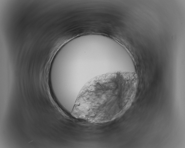 X0000087310049200705112125