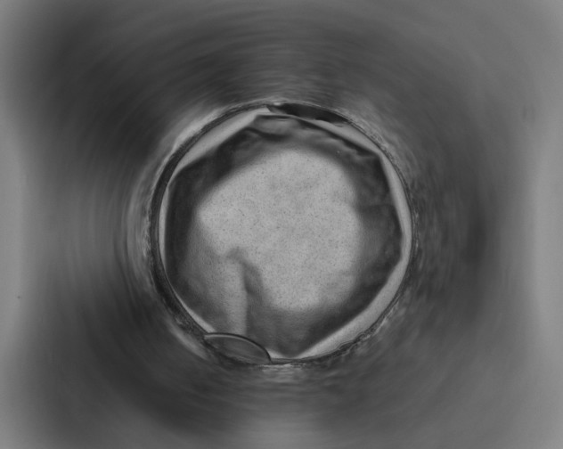 X0000087310050200705112125