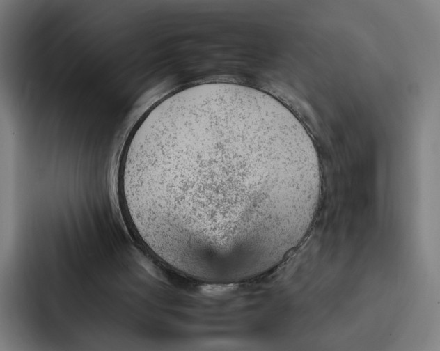 X0000087310051200705112125