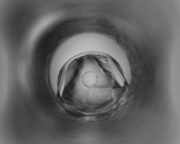 X0000087310052200705112125