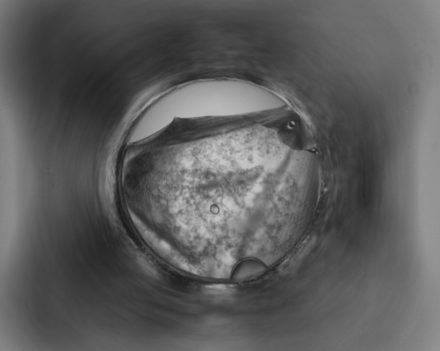 X0000087310053200705112125