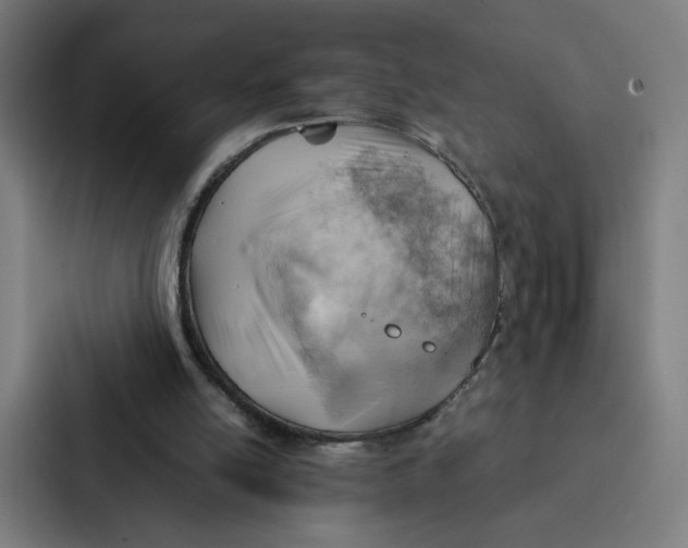 X0000087310054200705112125