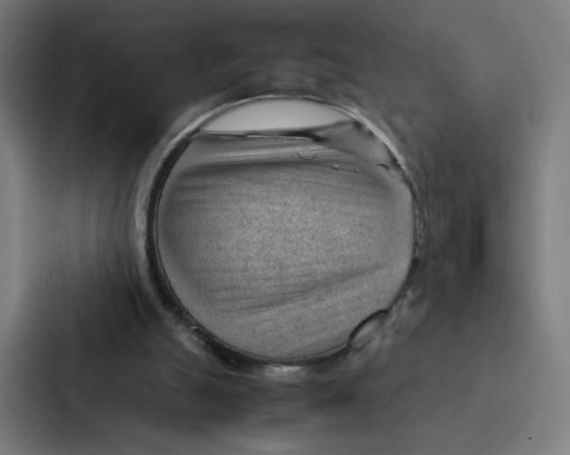 X0000087310055200705112125