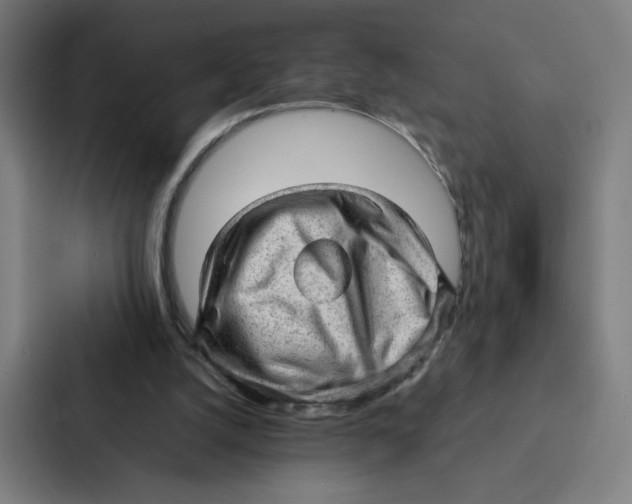 X0000087310056200705112125