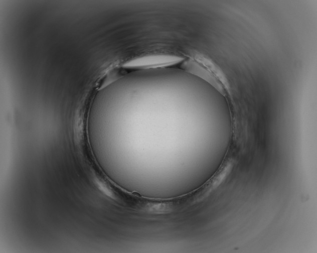 X0000087310057200705112125