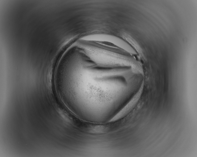 X0000087310058200705112125