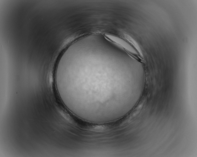 X0000087310059200705112125