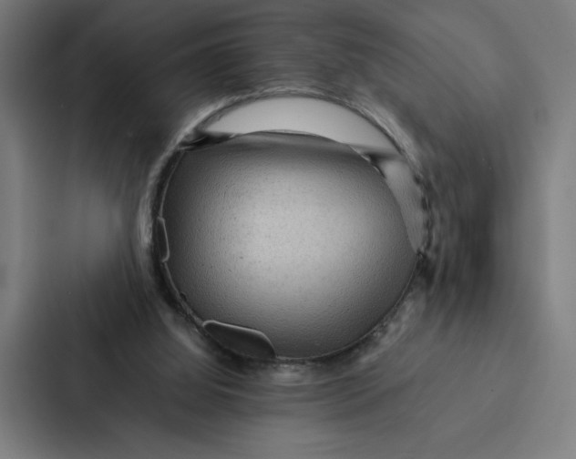 X0000087310060200705112125