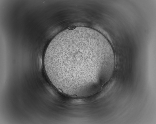 X0000087310061200705112125