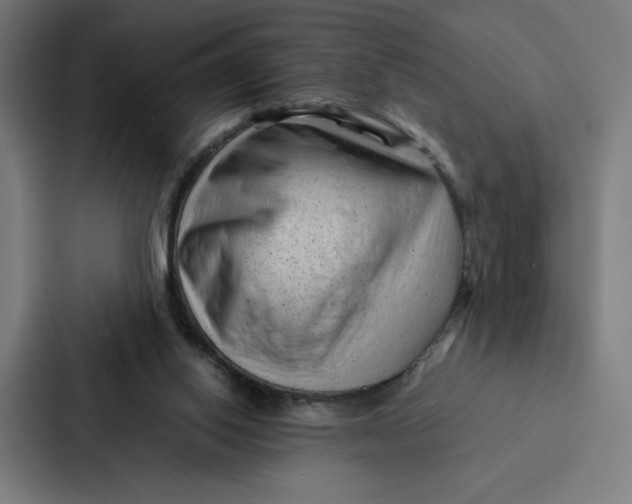 X0000087310062200705112125