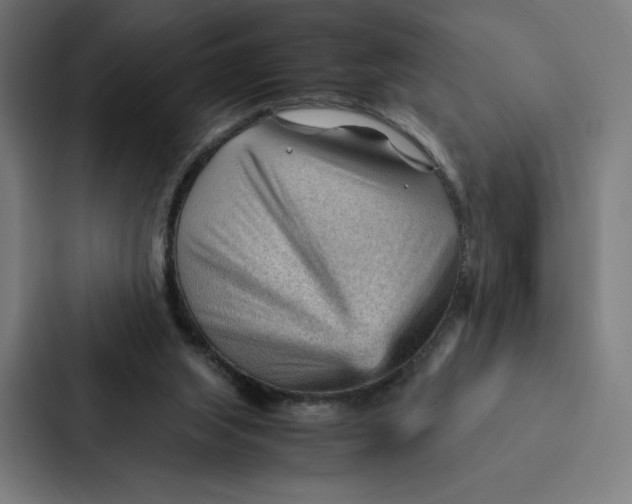 X0000087310063200705112125