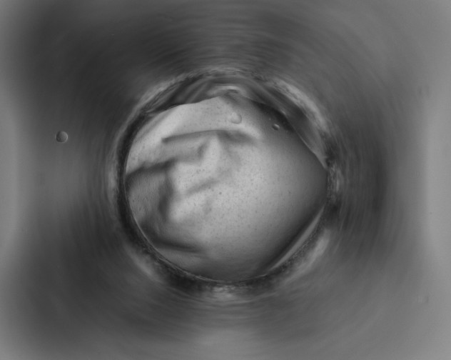 X0000087310064200705112125