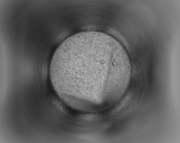 X0000087310065200705112125