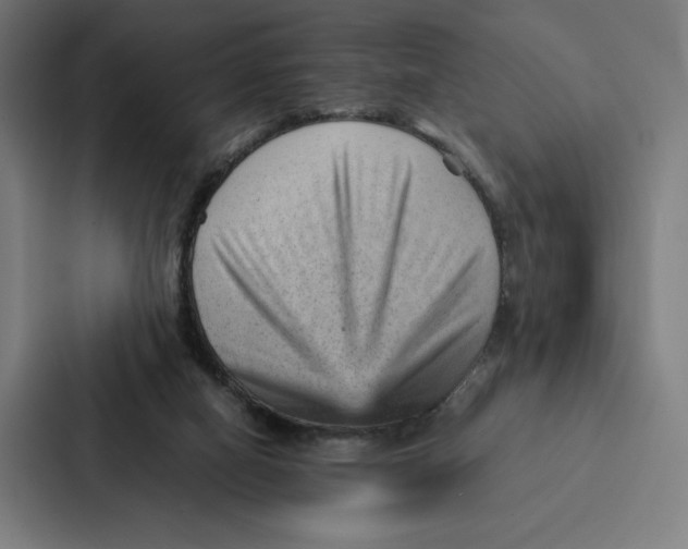 X0000087310066200705112125