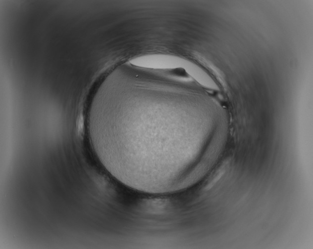 X0000087310067200705112125