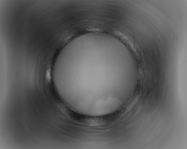 X0000087310069200705112125