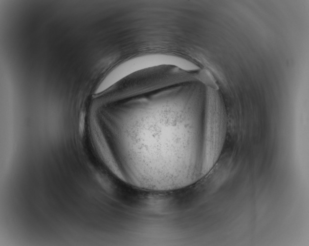 X0000087310070200705112125