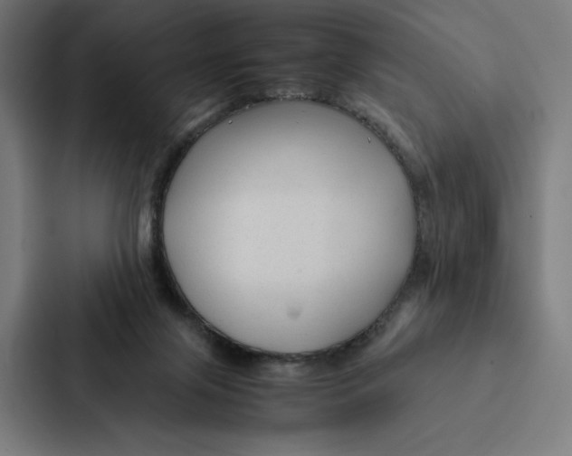 X0000087310071200705112125