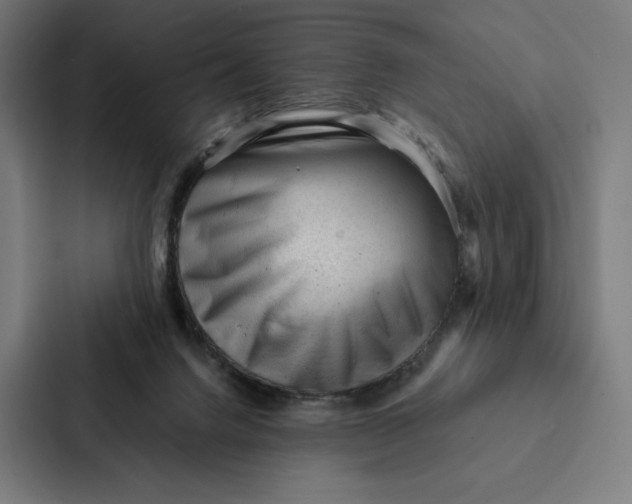 X0000087310072200705112125