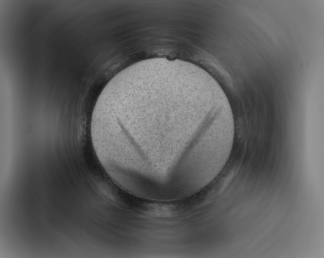 X0000087310073200705112125