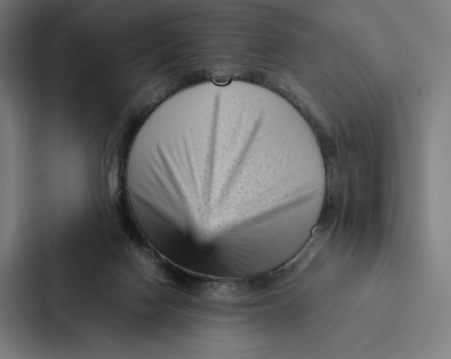 X0000087310074200705112125