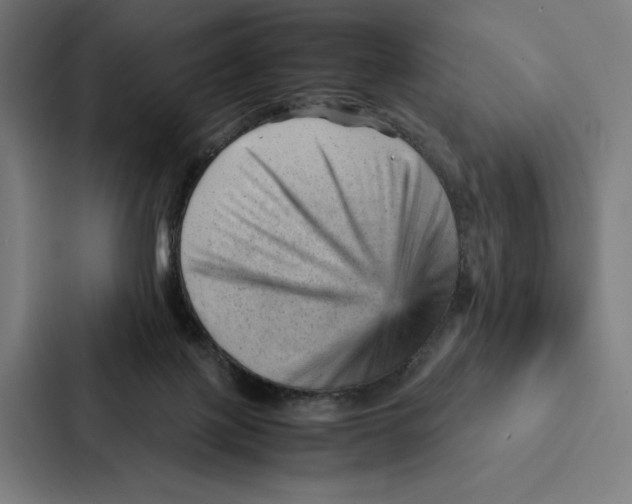 X0000087310075200705112125