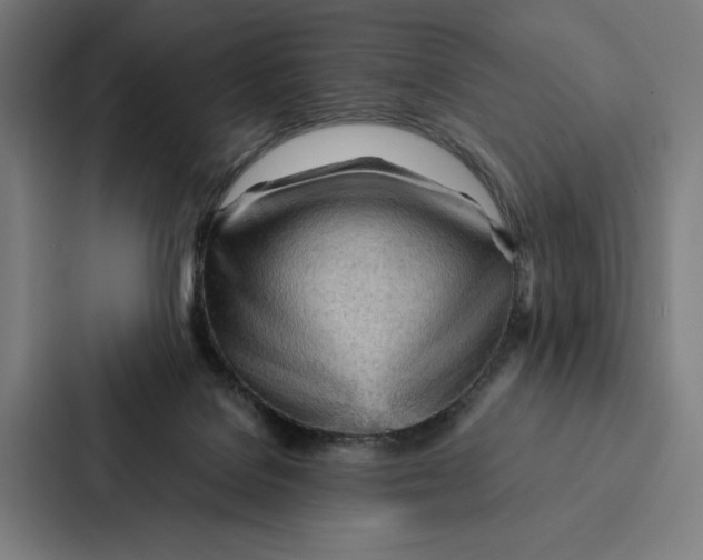 X0000087310076200705112125