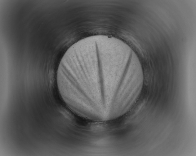 X0000087310077200705112125