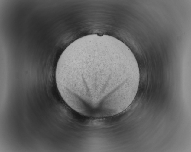 X0000087310078200705112125