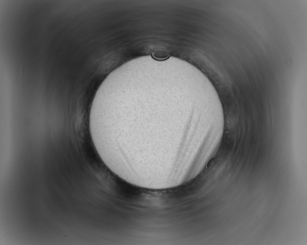 X0000087310079200705112125