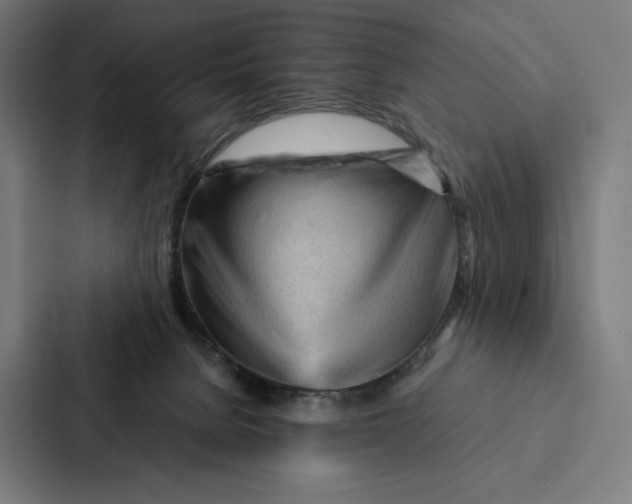 X0000087310080200705112125