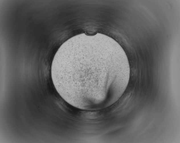 X0000087310081200705112125