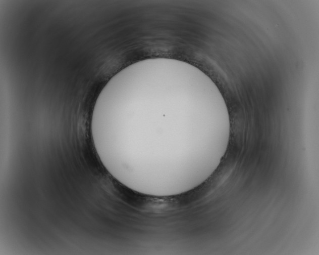 X0000087310083200705112125